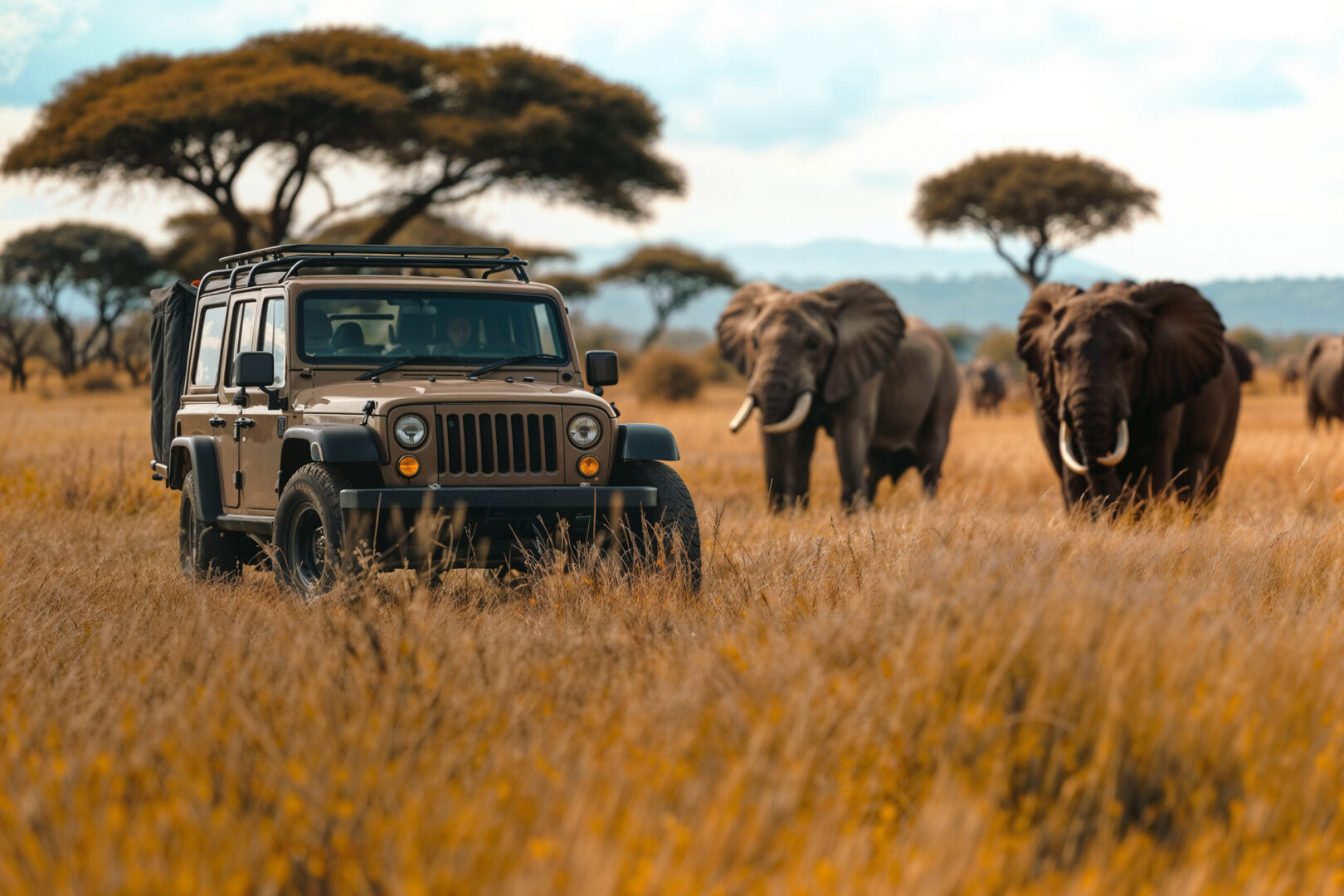 crossroad car safari scene